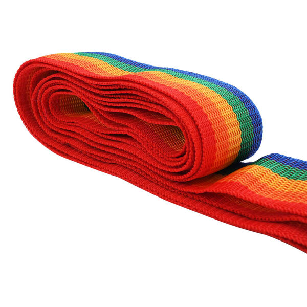 vidaXL Luggage Belt 4.2 m