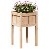 Product Thumbnail Image 3 of 7