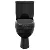 vidaXL Toilet With Cistern Black