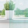 Product Thumbnail Image 4 of 12