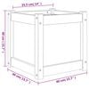 Product Thumbnail Image 11 of 11