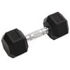 vidaXL Dumbbells 2 pcs 16 kg Total Cast Iron