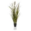Emerald Artificial Cattails Grass 85 cm in Pot