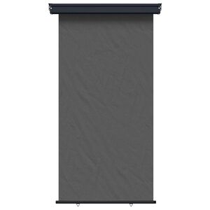 vidaXL Balcony Side Awning 117 x 250 cm 100% polyester iron steel