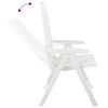 vidaXL Garden Reclining Chairs 2 pcs Plastic White