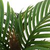 Product Thumbnail Image 2 of 5