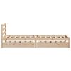 Product Thumbnail Image 5 of 12