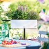 Product Thumbnail Image 6 of 7