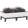 Product Thumbnail Image 3 of 8