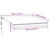 vidaXL Automatic Retractable Awning Anthracite and White 300x250 cm