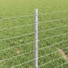 Product Thumbnail Image 4 of 7