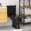 vidaXL Toilet With Cistern Black