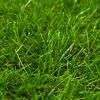 vidaXL Artificial Grass 1x15 m/40 mm Green