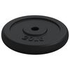 vidaXL Weight Plate 40 kg Cast Iron