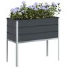 Product Thumbnail Image 3 of 9