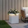 Product Thumbnail Image 3 of 12