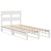 vidaXL Bed Frame without Mattress White 100x200 cm Solid Wood Pine