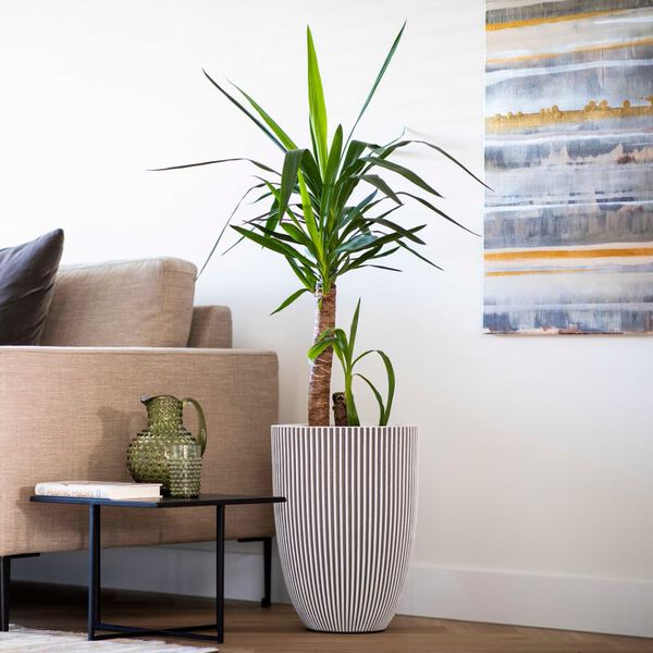 Showing Product Image 3 of 14