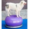 FitPAWS Pet Balance Ball TRAX Donut 55 cm Purple