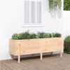 vidaXL Garden Raised Bed 160x50x57 cm Solid Wood Pine