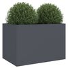 Product Thumbnail Image 4 of 11