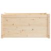 vidaXL Garden Planters 2 pcs 100x50x50 cm Solid Pinewood