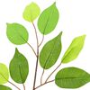 Product Thumbnail Image 4 of 6