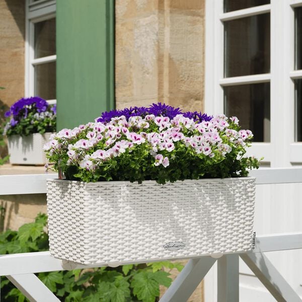 LECHUZA Planter BALCONERA Cottage 50 ALL-IN-ONE White