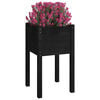 Product Thumbnail Image 3 of 8
