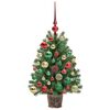 Product Thumbnail Image 6 of 19