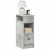 vidaXL Bedside Cabinets 2 pcs with Drawer Concrete Grey 25x31x66 cm