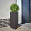Product Thumbnail Image 2 of 12