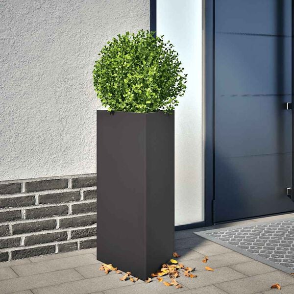 Showing Product Image 2 of 12