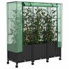 Product Thumbnail Image 3 of 8