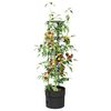Product Thumbnail Image 3 of 5