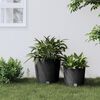 vidaXL Planter with Removable Inner Anthracite 35 / 37.5 L PP Rattan