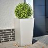 Product Thumbnail Image 2 of 10