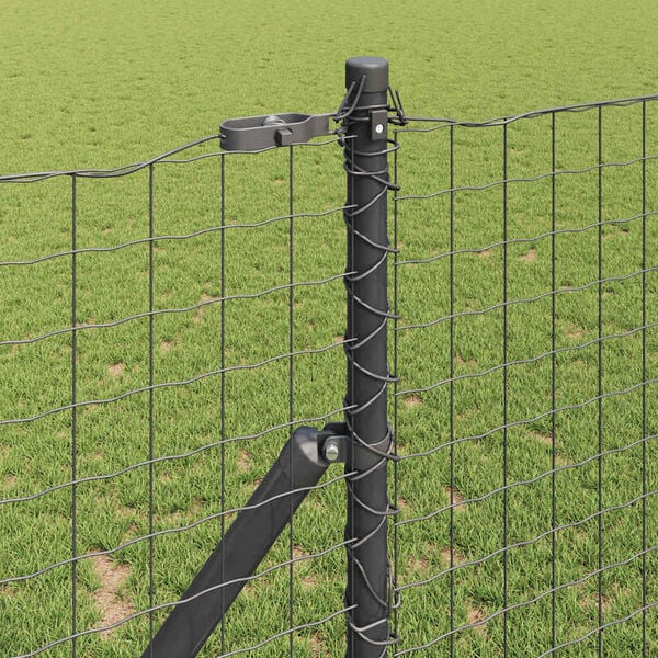 Showing Product Image 3 of 17
