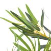 Product Thumbnail Image 2 of 2