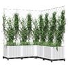 Product Thumbnail Image 7 of 8