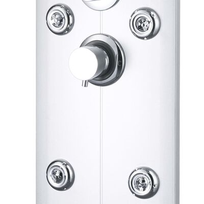 vidaXL Shower Panel Unit 25x43x120 cm Silver