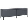 vidaXL TV Cabinet Anthracite 135x39x43.5 cm Cold-rolled Steel