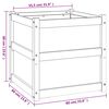 Product Thumbnail Image 12 of 12
