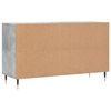 vidaXL Shoe Cabinet Concrete Grey 102x36x60 cm Engineered Wood