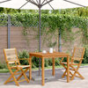 vidaXL Garden Chairs 2 pcs Beige Solid Wood Acacia and Polypropylene