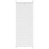 Plisse Blind 50x100cm White Pleated Blind