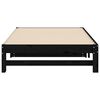 vidaXL Pull-out Day Bed without Mattress Black 2x(90x200) cm