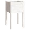 vidaXL Garden Planters 2 pcs White 40x40x70 cm Solid Pinewood