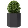 vidaXL Garden Planter 2 pcs Black Hexagon 46x40x45 cm Steel