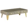 vidaXL Coffee Table Solid Mango Wood Grey with Brass 110x60x35 cm